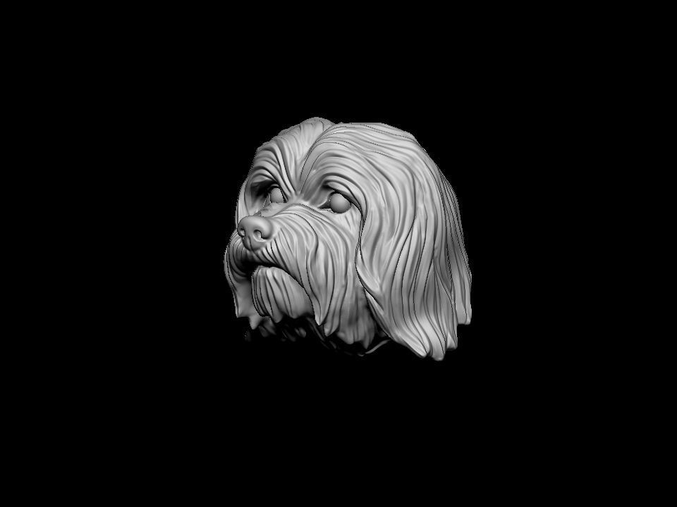 Havanese dog head pendant 3d print model 3D print model_10