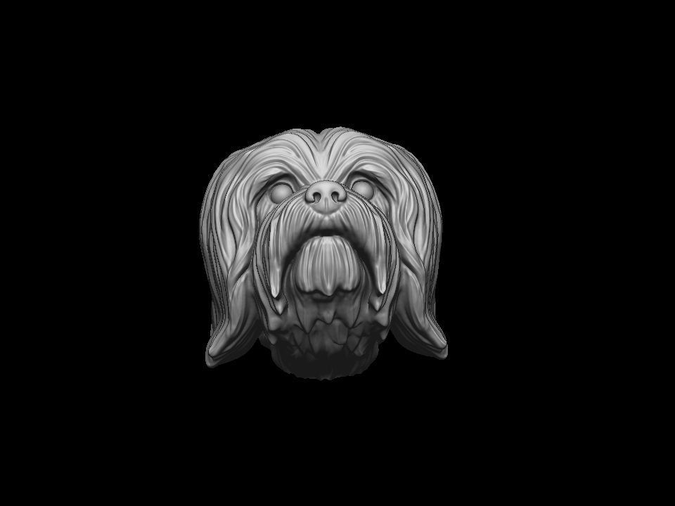 Havanese dog head pendant 3d print model 3D print model_11