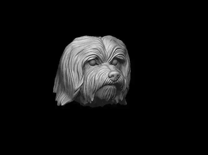Havanese dog head pendant 3d print model 3D print model