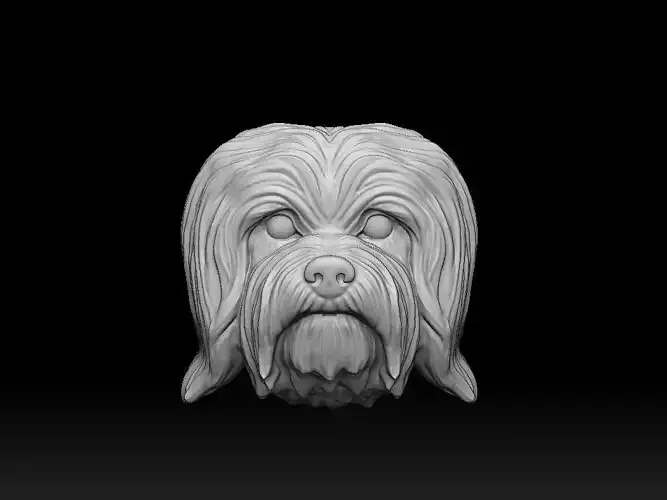 Havanese dog bichon bas relief 3d print model 3D print model