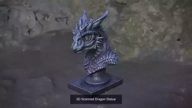 3D Scanned Dragon Pack