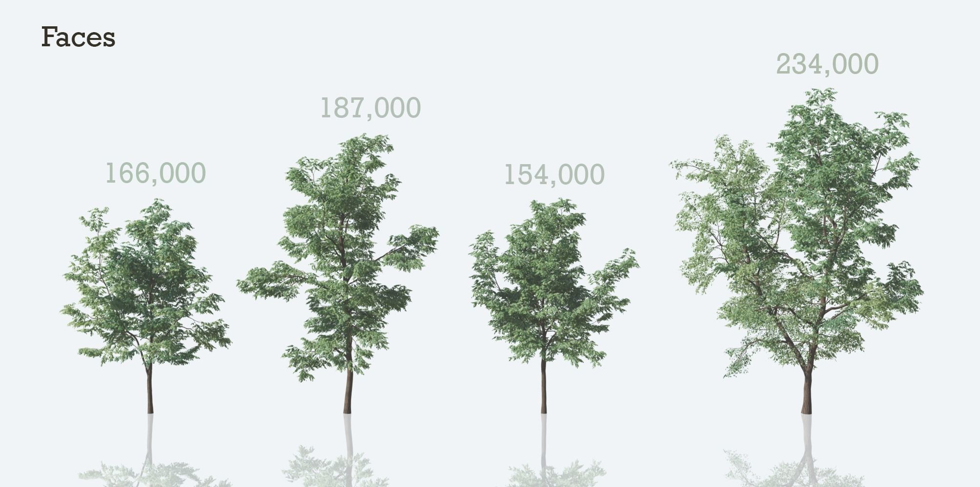 Black Locust Trees Free 3D model_9