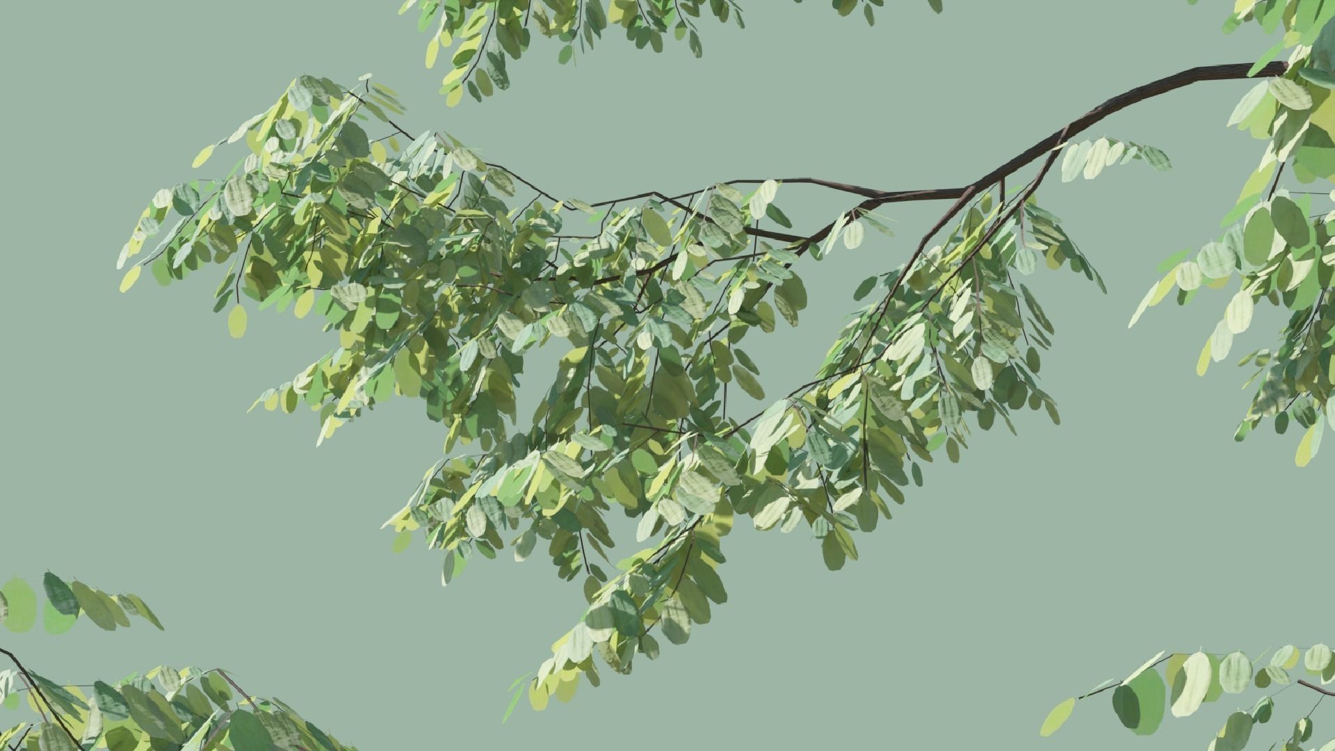 Black Locust Trees Free 3D model_5