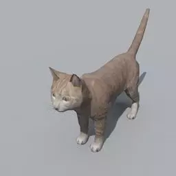 Cat model Free 3D model_0