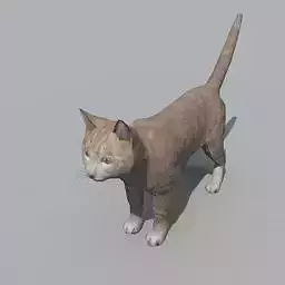Cat model Free 3D model