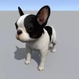 Bull dog Free 3D model_0