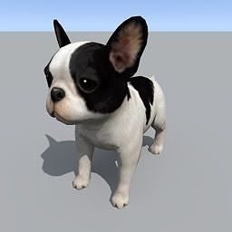 Bull dog Free 3D model