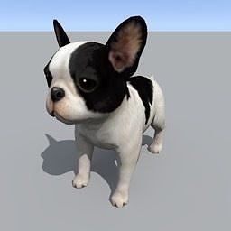 Bull dog Free 3D model