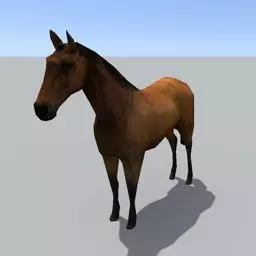 Horse Free 3D model