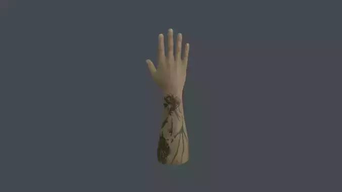 HAND-011 Right Hand Low-poly 3D model