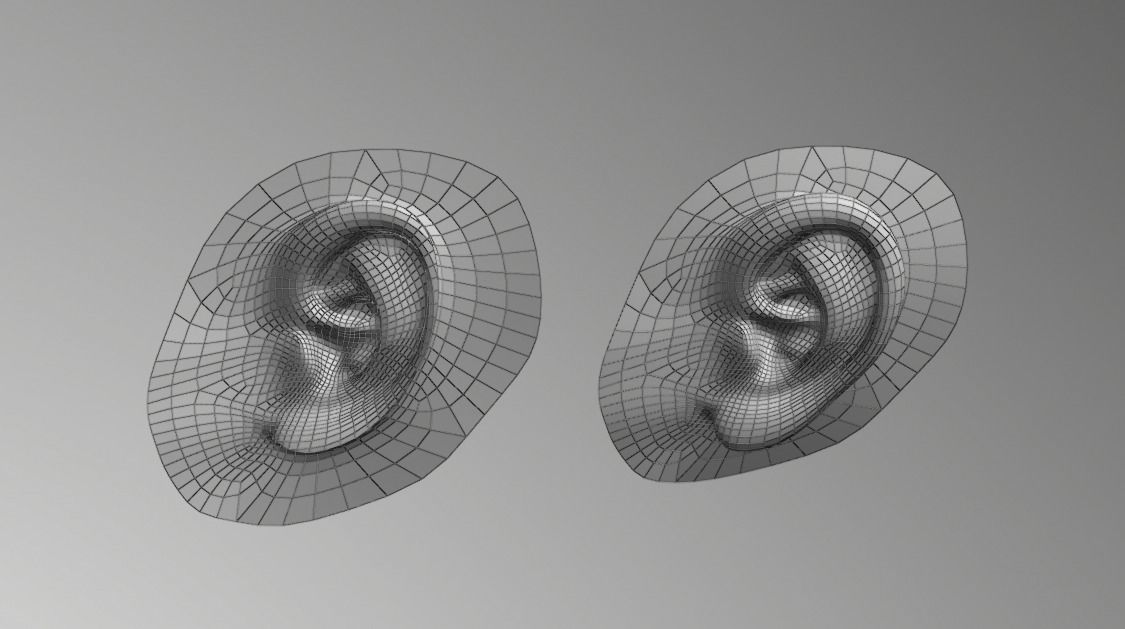 ear - component Low-poly 3D model_8