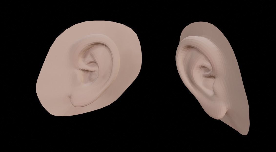 ear - component Low-poly 3D model_1