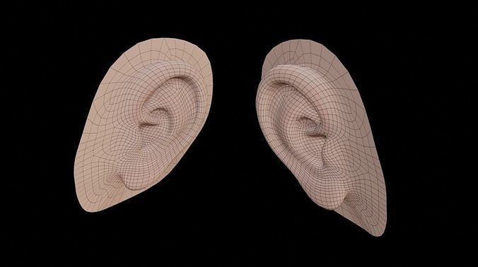 ear - component Low-poly 3D model