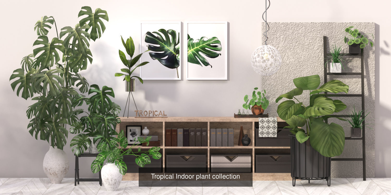 Indoor Leaf Tropical Plants Metal Frame Planter pot  3D Model Collection_2