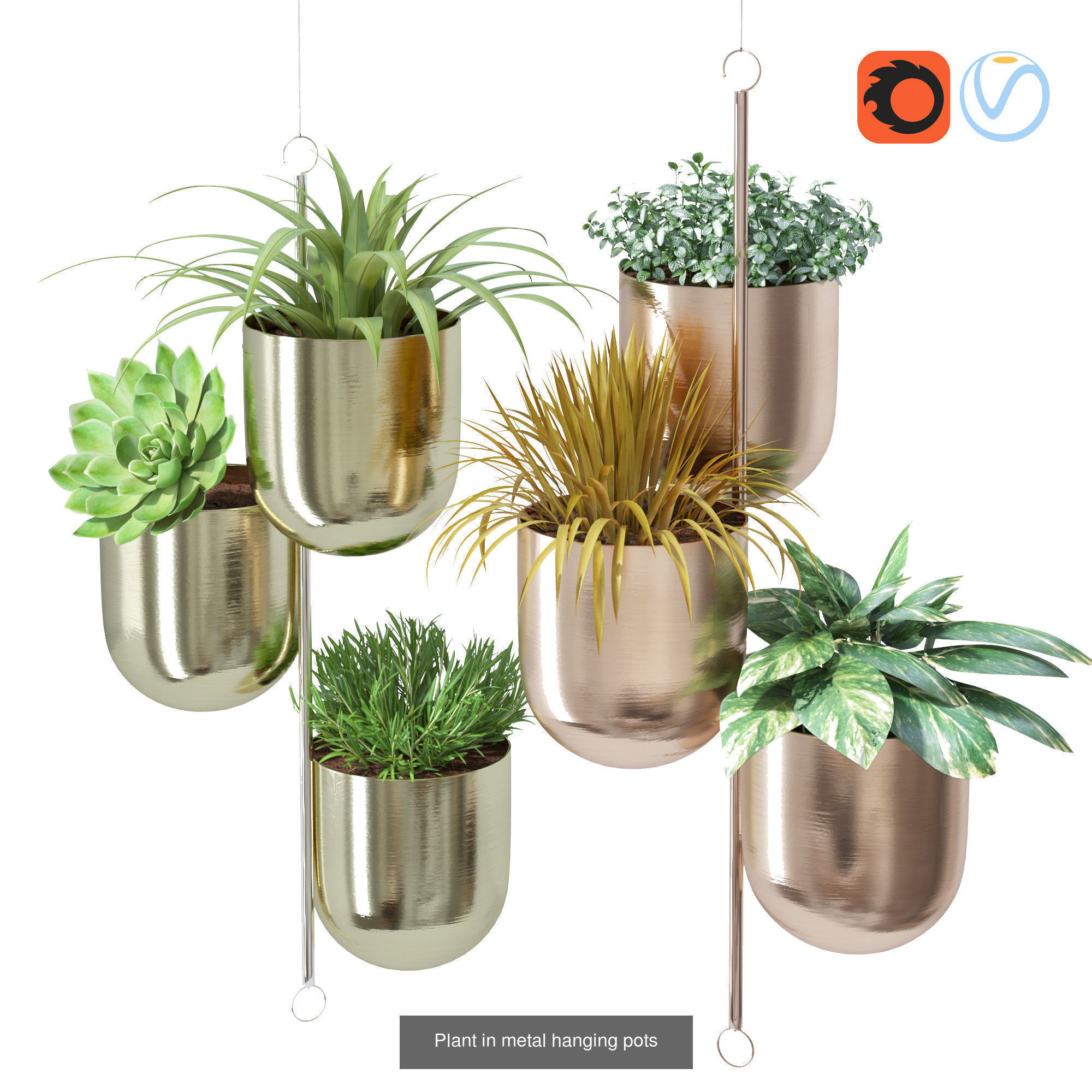 Indoor Leaf Tropical Plants Metal Frame Planter pot  3D Model Collection_3