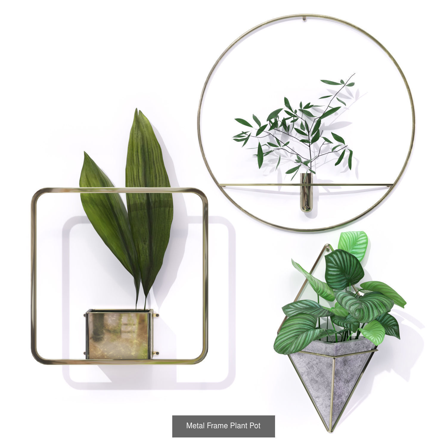 Indoor Leaf Tropical Plants Metal Frame Planter pot  3D Model Collection_1