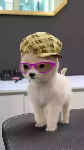 Poodle cute 3D model