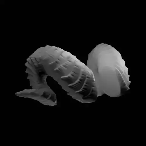 Small Curled Horns - Laura 3D print model