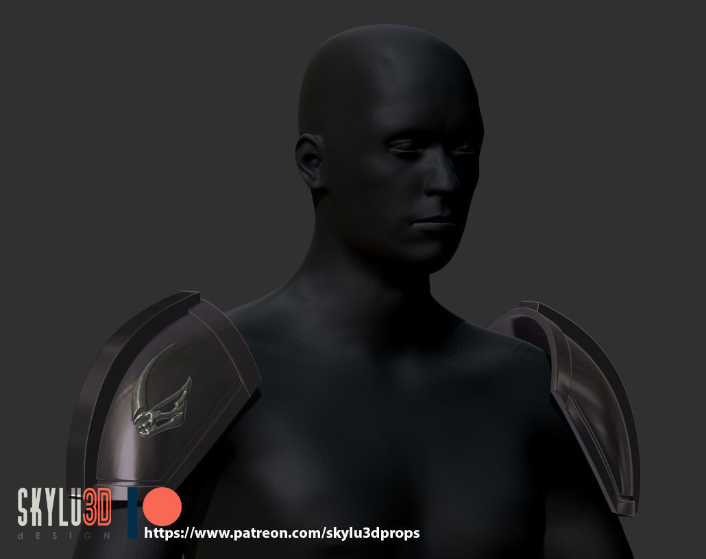 The Mandalorian Shoulder Armor - The Child Signet  3D print model_1