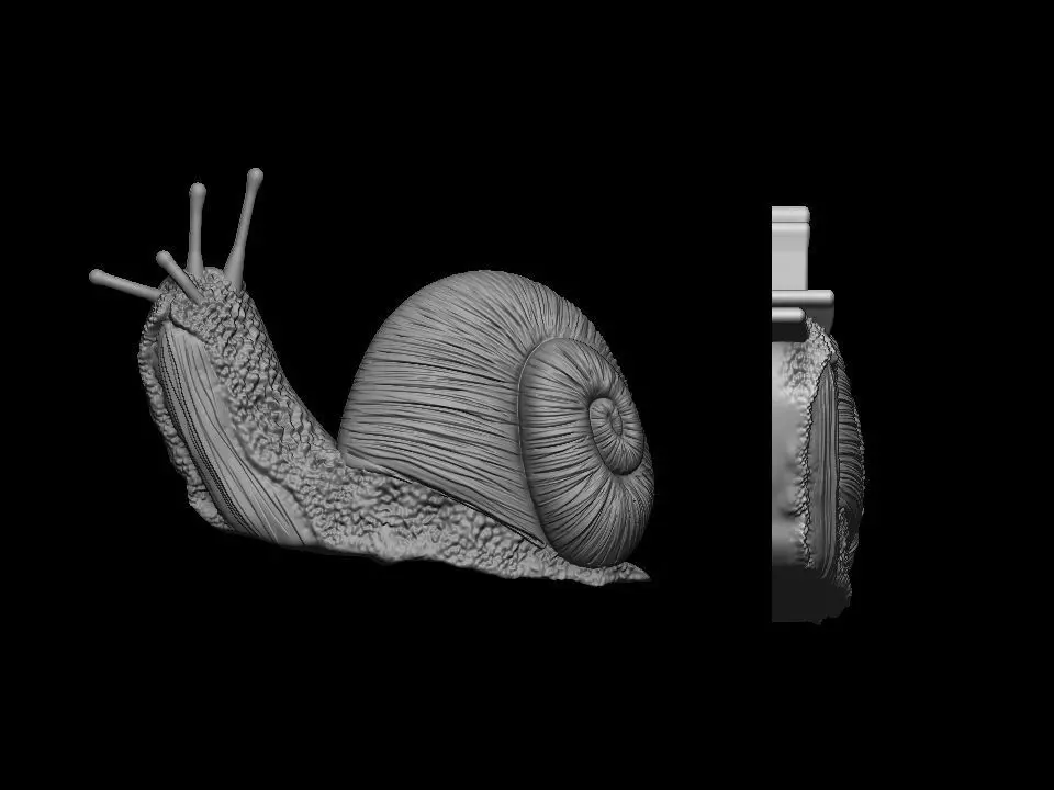 Snail pendant 3D print model 3D print model