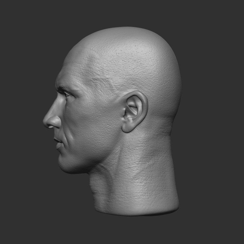 Dwayne Johnson head sculpt  3D print model_2