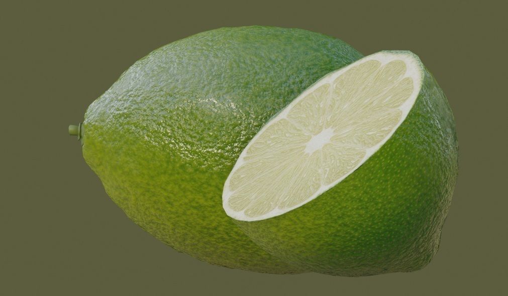 Citrus lemon fruit with pbr textures 3D model_5