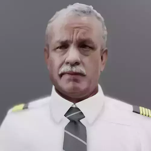 Pilot Commercial Airplane Pilot