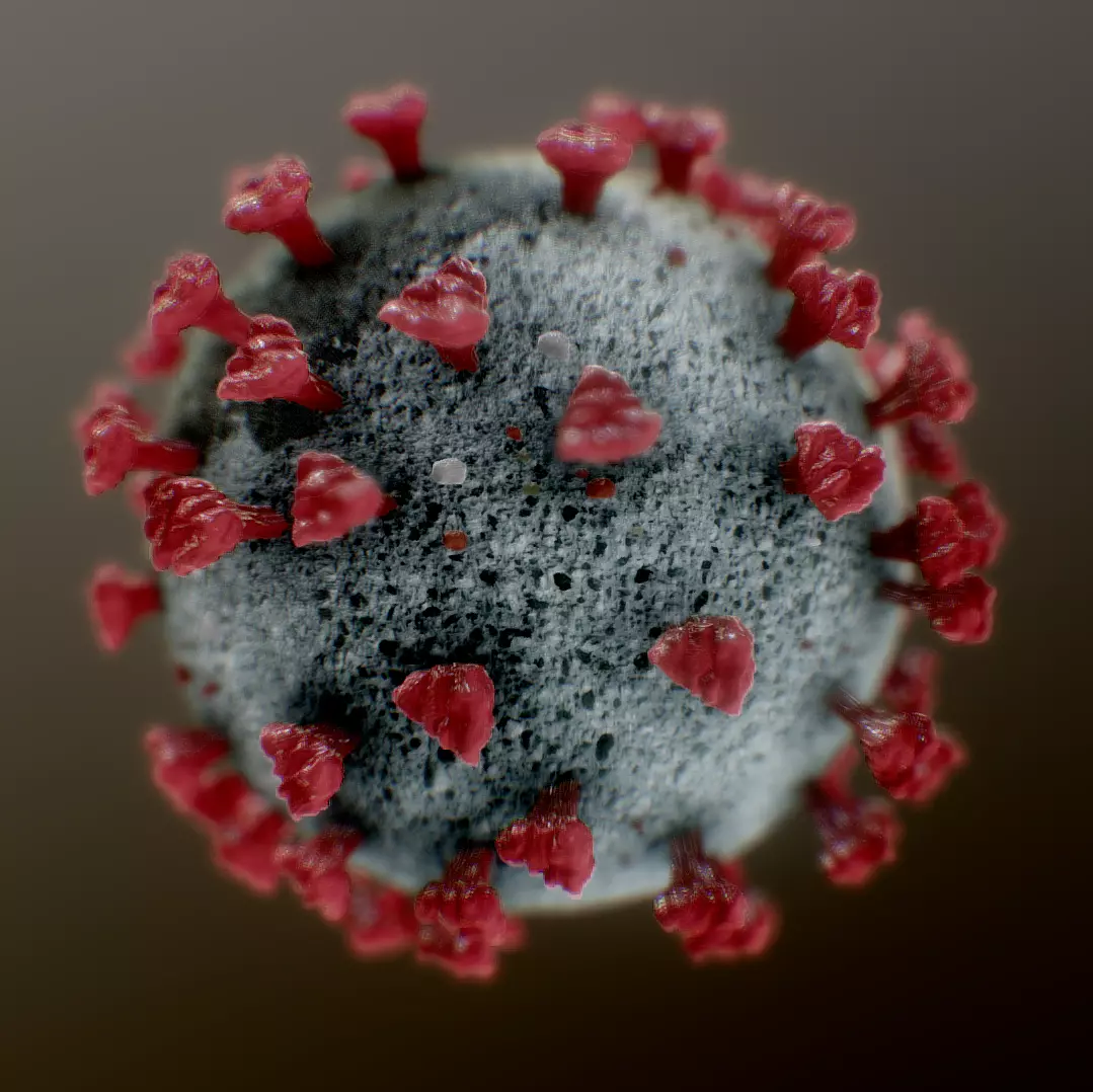 Corona Virus Covid 19 3D model_0