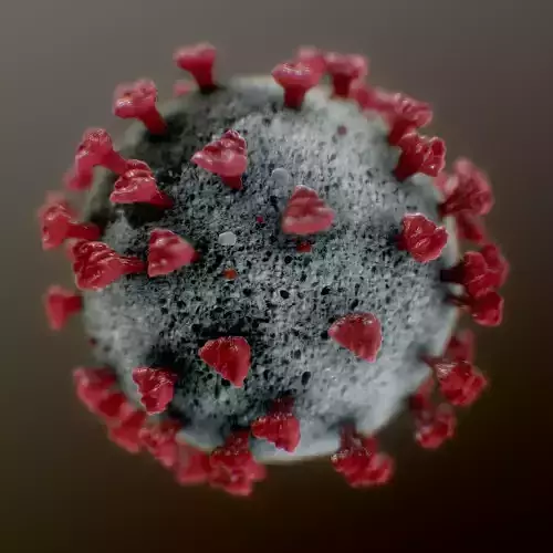 Corona Virus Covid 19 3D model