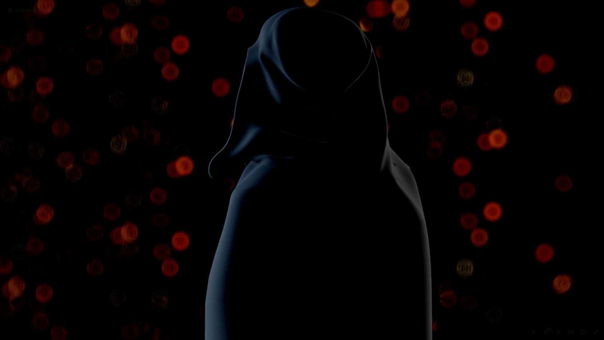 Anakin Skywalker 3D model_15