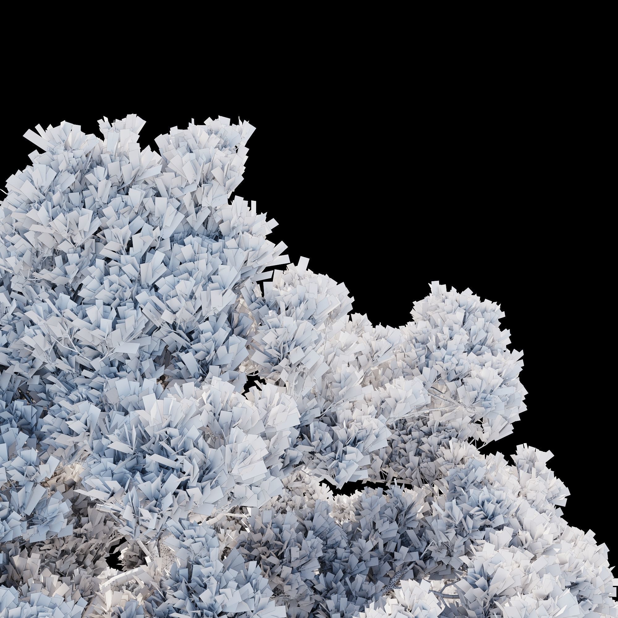 Pinus Brutia -Turkish Pines bundle - V-RAY 3D model_8