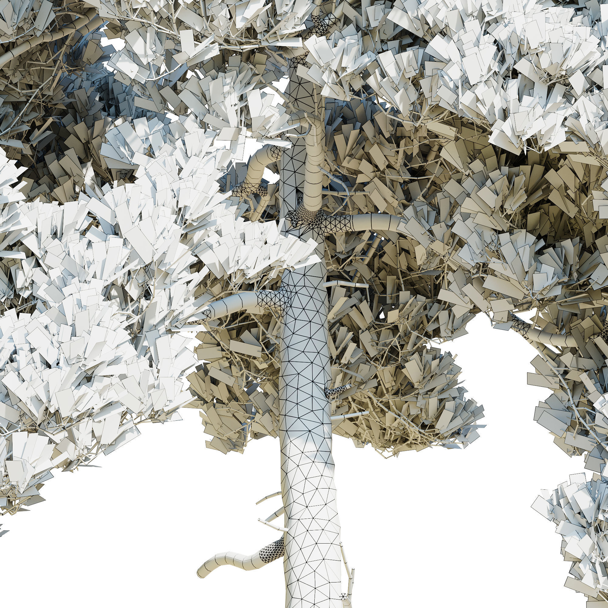 Pinus Brutia -Turkish Pines bundle - V-RAY 3D model_19