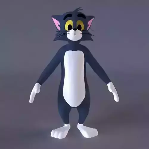 Tom 3D character Low-poly 3D model
