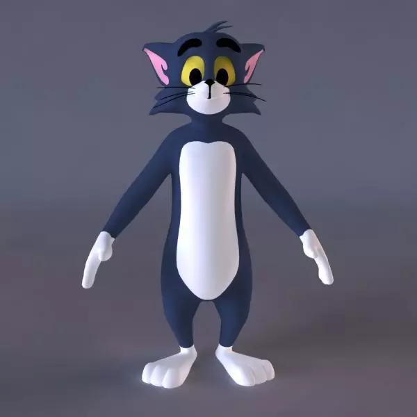 Tom 3D character Low-poly 3D model_0