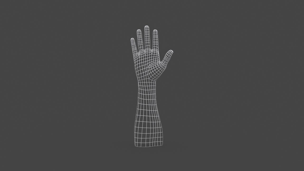 HAND-013 Right Hand Low-poly 3D model_4