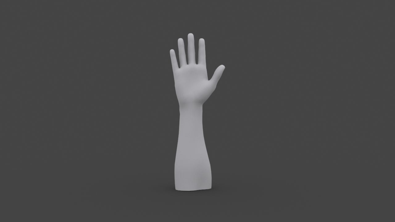 HAND-013 Right Hand Low-poly 3D model_3