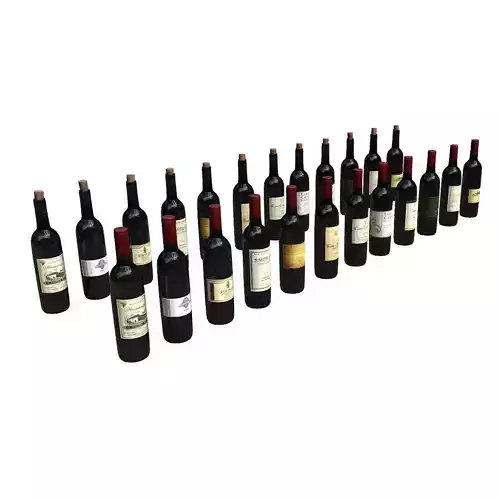 Wine Bottle 24 Pack
