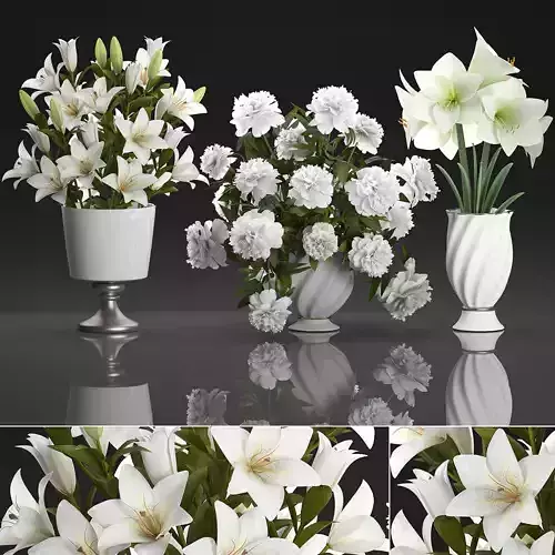 Bouquet of white flowers in a vase for decoration 109 3D model