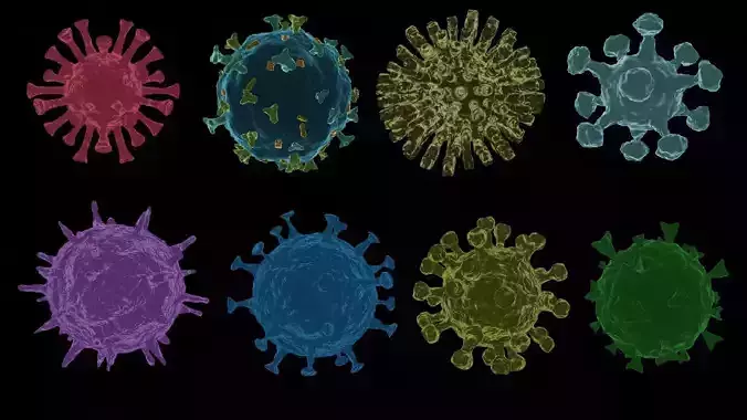 COVID - 19  Corona Virus Other virus disease 3D model