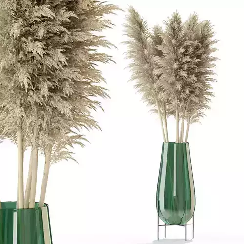 Plants collection 298