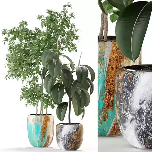 Plants collection 299