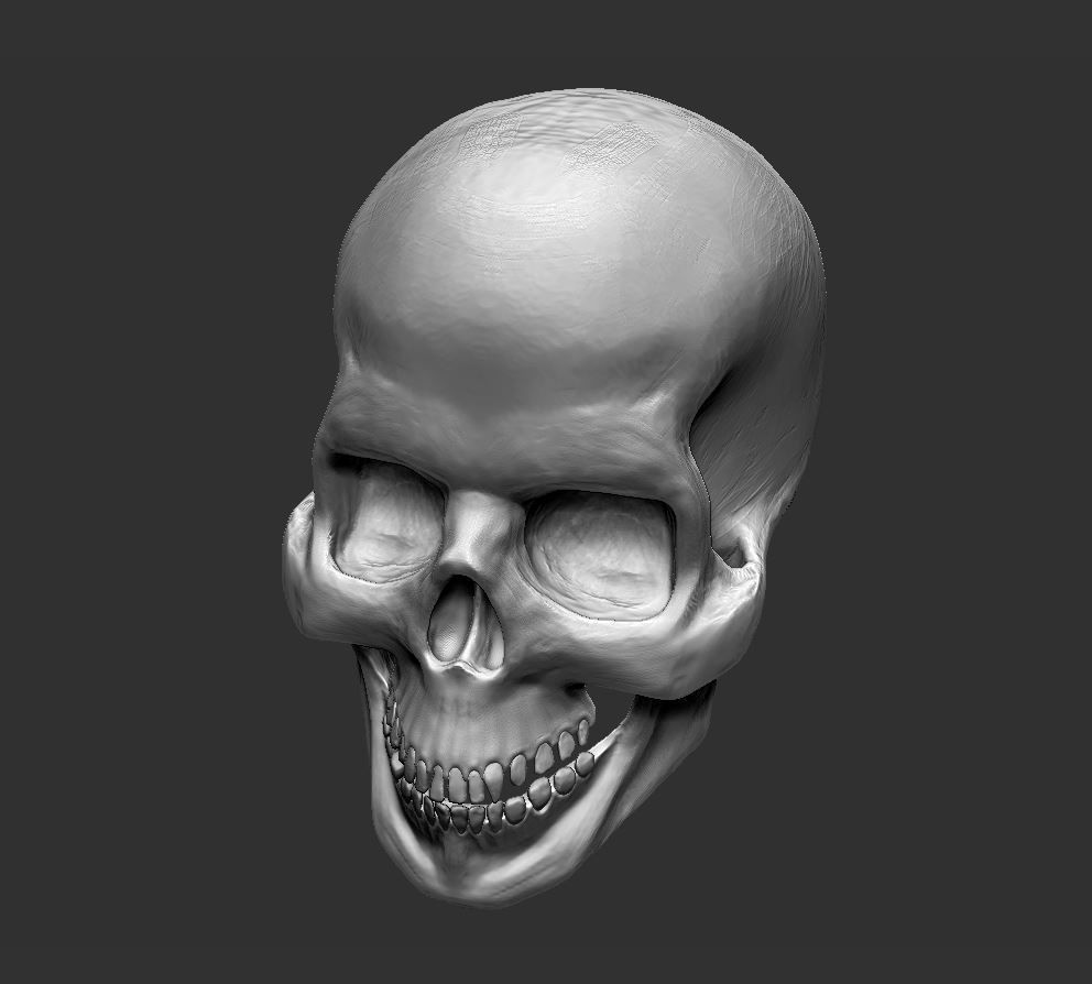 Skull human 3D model_5