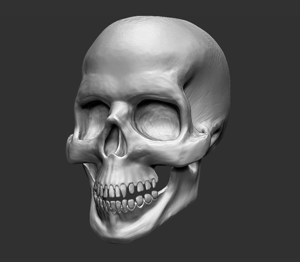 Skull human 3D model_2