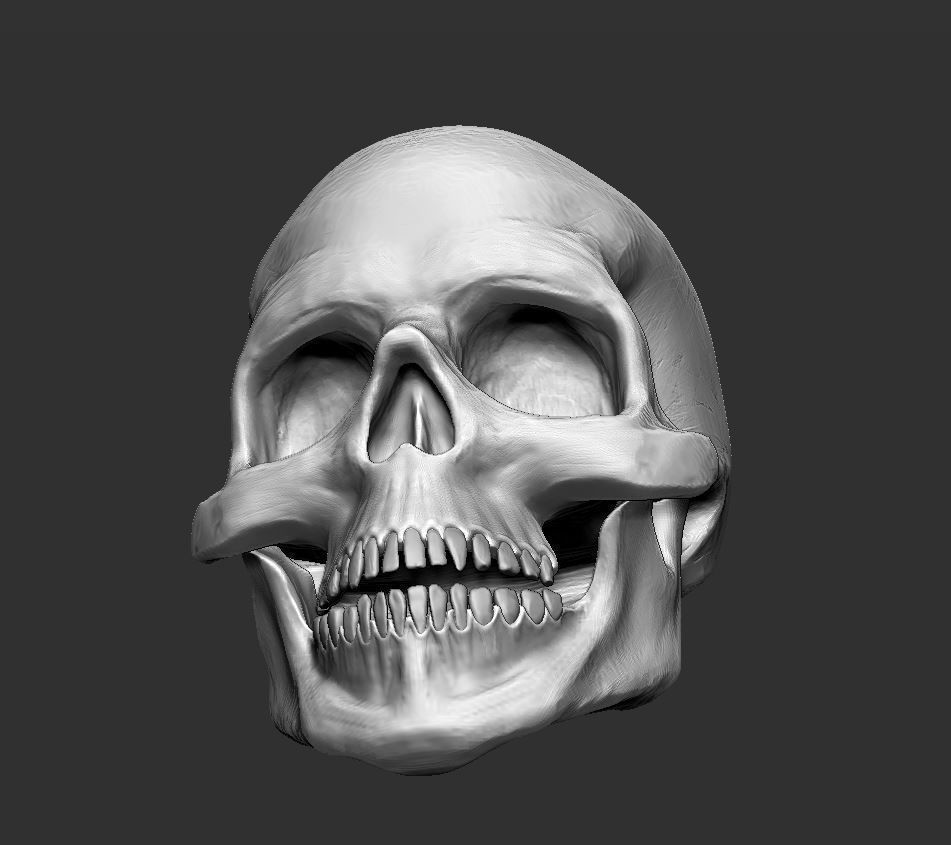 Skull human 3D model_6