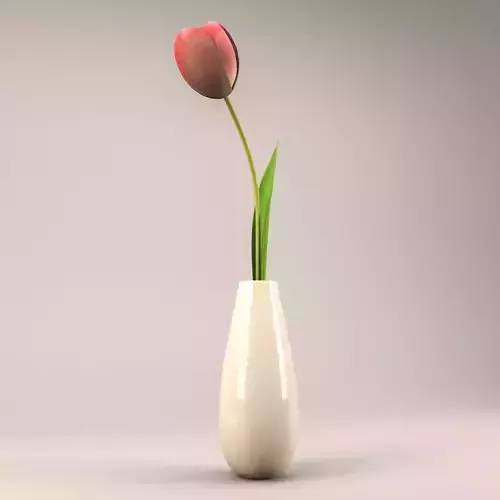 Pink Tulip Flower with Ceramic Vase