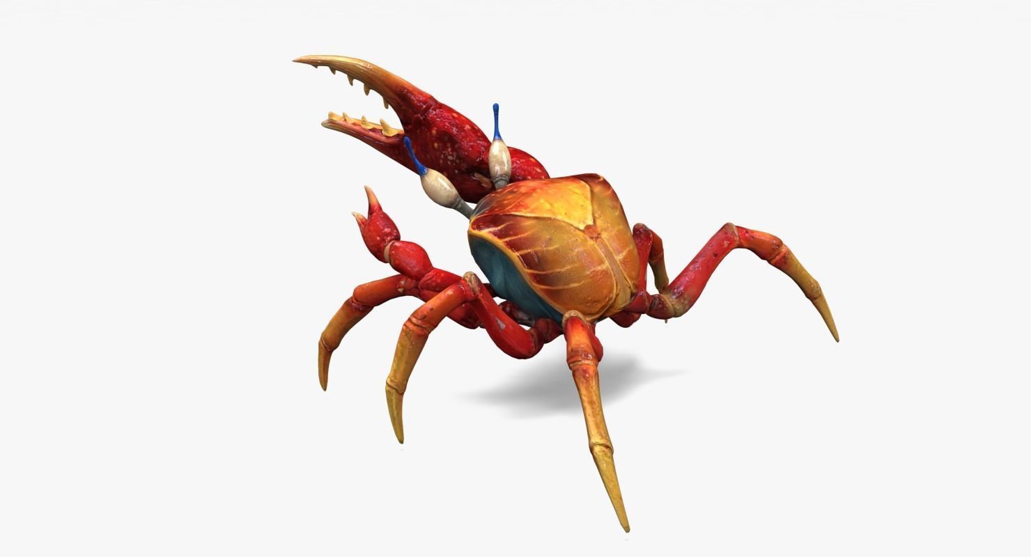 Red Crab Low-poly 3D model_1