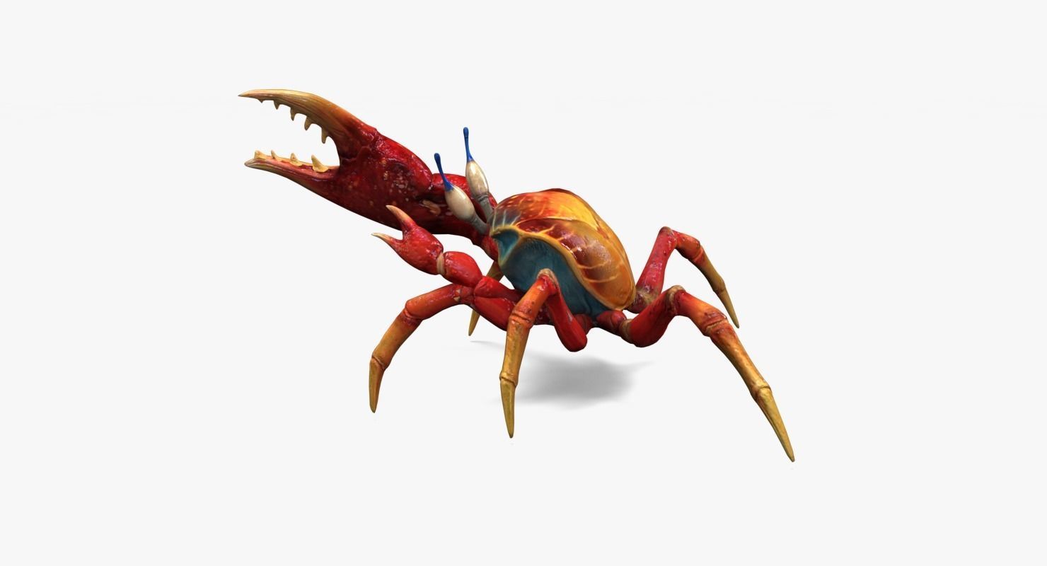 Red Crab Low-poly 3D model_10