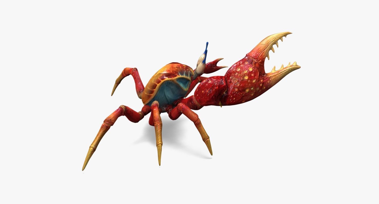 Red Crab Low-poly 3D model_8