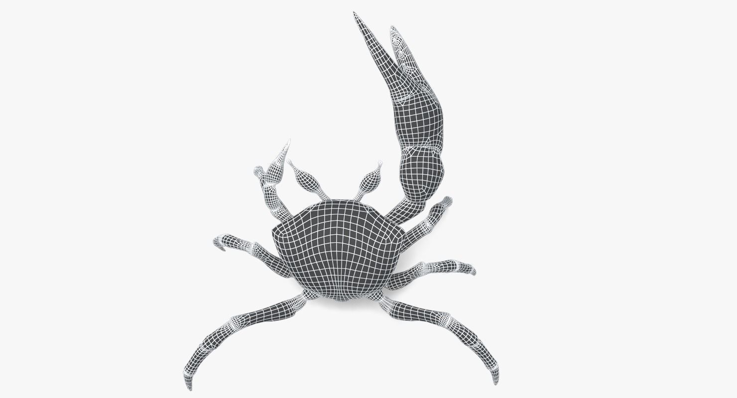 Red Crab Low-poly 3D model_13