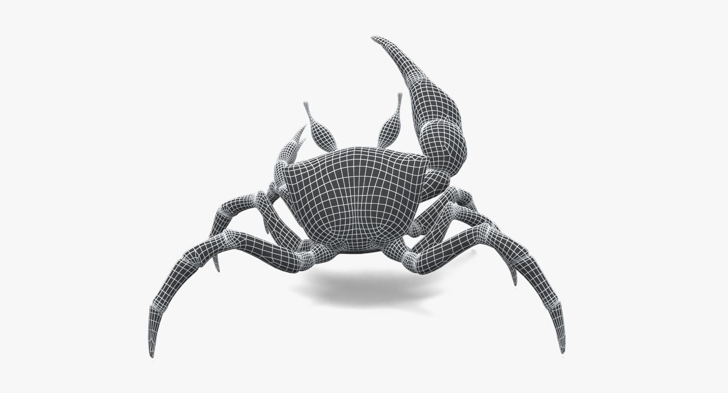 Red Crab Low-poly 3D model_15